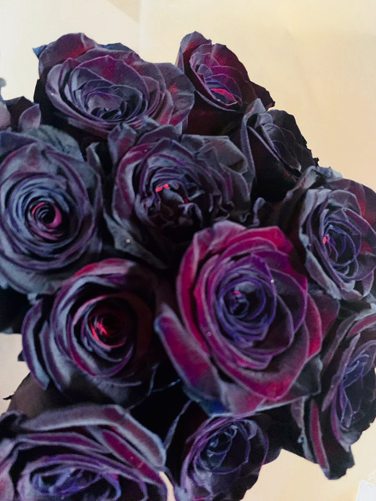 The flower language of roses Country Gardener